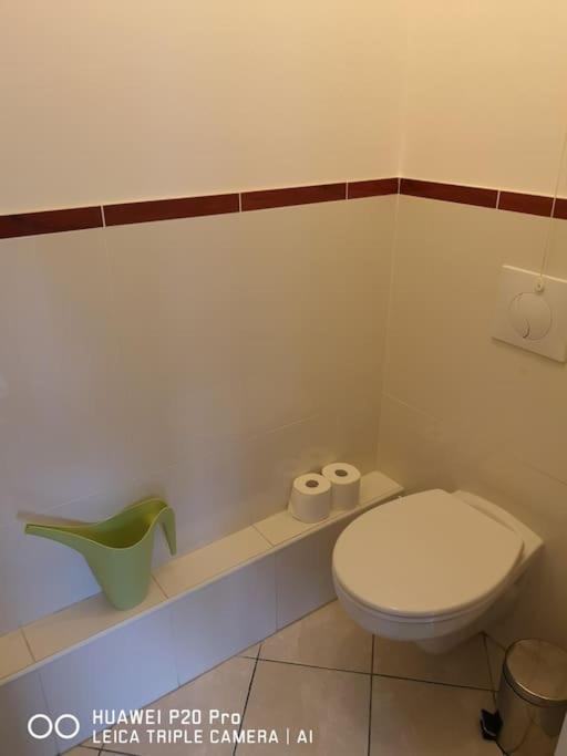 Spacieux 3 Pieces Sur Jardin Ivry-sur-Seine Ngoại thất bức ảnh